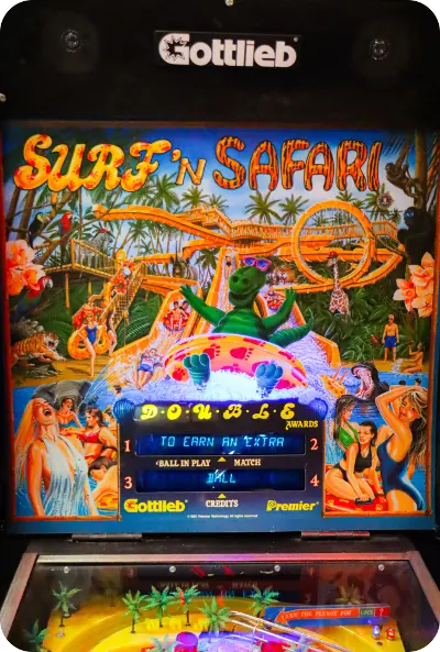 Pinball 5: Surf’s Safari